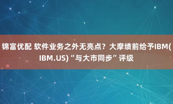 锦富优配 软件业务之外无亮点？大摩绩前给予IBM(IBM.US)“与大市同步”评级