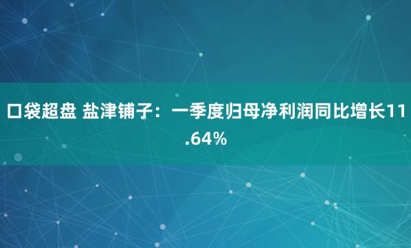 口袋超盘 盐津铺子：一季度归母净利润同比增长11.64%
