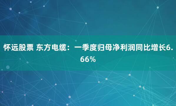 怀远股票 东方电缆：一季度归母净利润同比增长6.66%