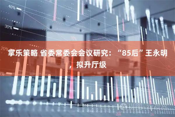 掌乐策略 省委常委会会议研究：“85后”王永明，拟升厅级