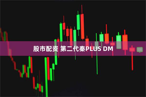 股市配资 第二代秦PLUS DM